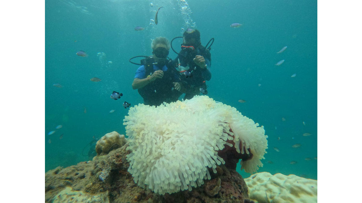 Mr. Biswa Behari Chatterjee, Past President of The Bengal Chamber, attempted a try dive under the guidance of Mr. Roshan Gonsalves, a certified scuba instructor and co-founder of Terra Conscious, at the BCC&I’s Scuba in Havelock Initiative scheduled from 19th to 21st May 2024 at Havelock, Andaman.